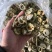 晒干苦瓜片，精选晒干苦瓜片，年产量100吨以上，以质论价