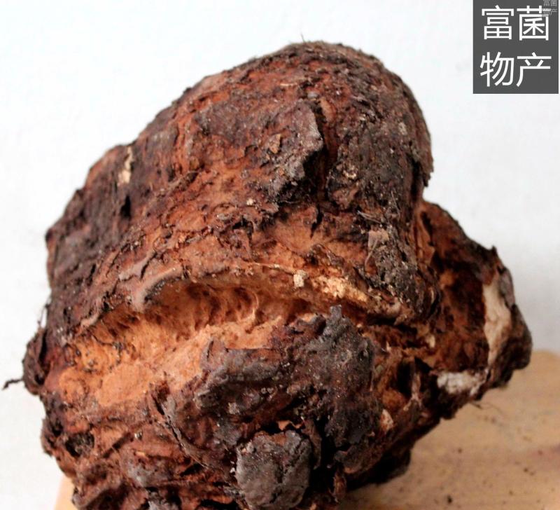自家松茯苓，价格实惠，欢迎老铁们骚扰新果100吨左右