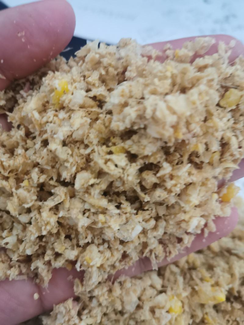 发酵玉米熟玉米，现货供应，全国发货。