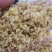 发酵玉米熟玉米，现货供应，全国发货。
