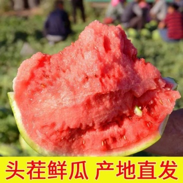 辽宁西瓜甜王西瓜一手货源产地直发大量上市价格公道皮薄多汁