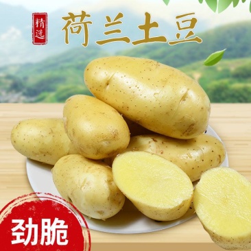 荷兰十五土豆二两起步精品土豆品种规格齐全新鲜土豆直发