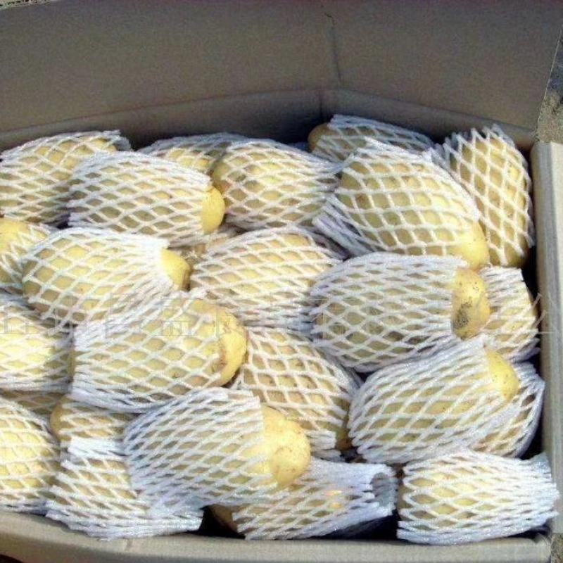 荷兰十五土豆二两起步精品土豆品种规格齐全新鲜土豆直发