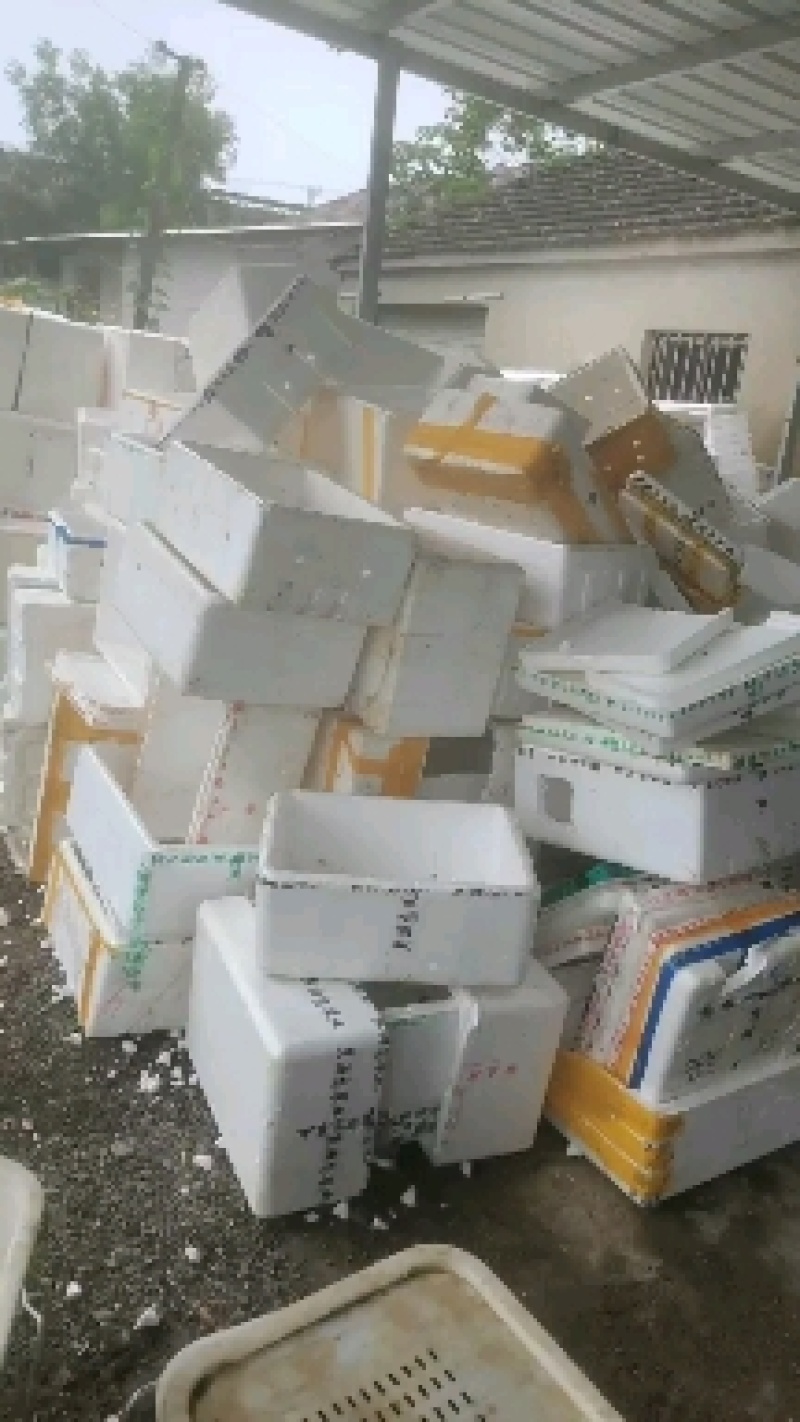 精品小龙虾