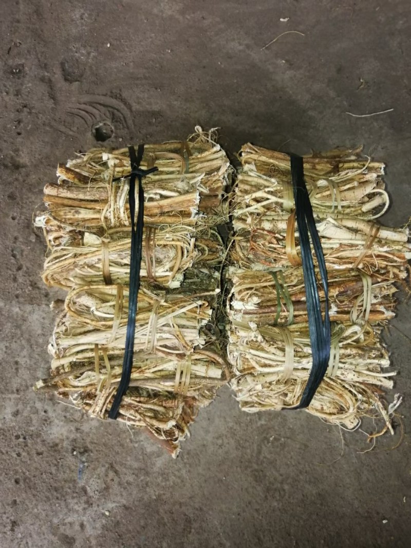 小扎把广西大山中草药野生五指毛桃小扎把，日晒足干香味好