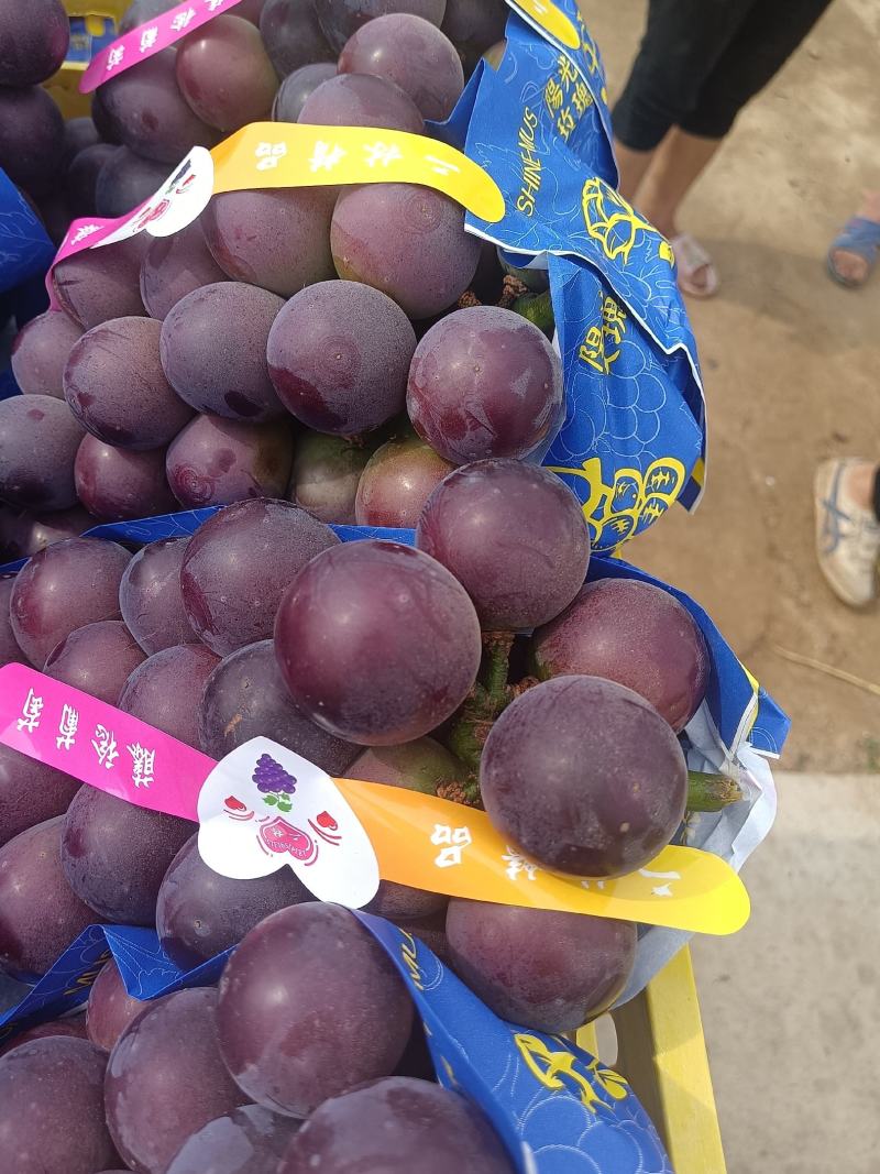 葡萄粒大口感甜颜色好