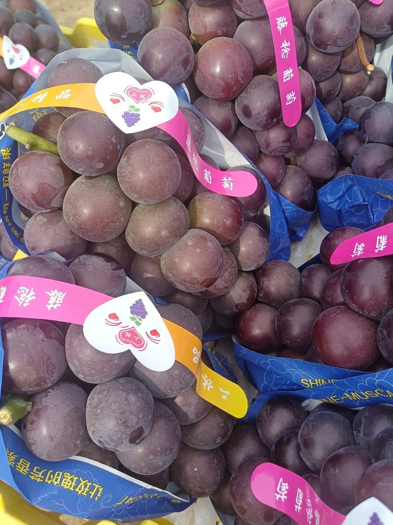 葡萄粒大口感甜颜色好