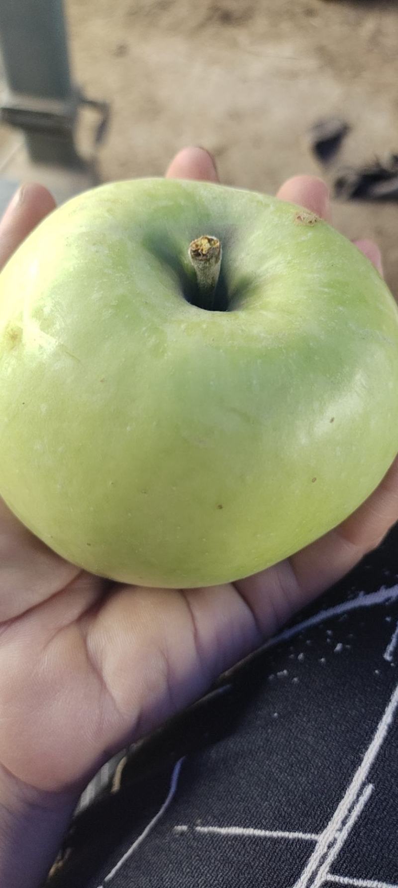花硕青果