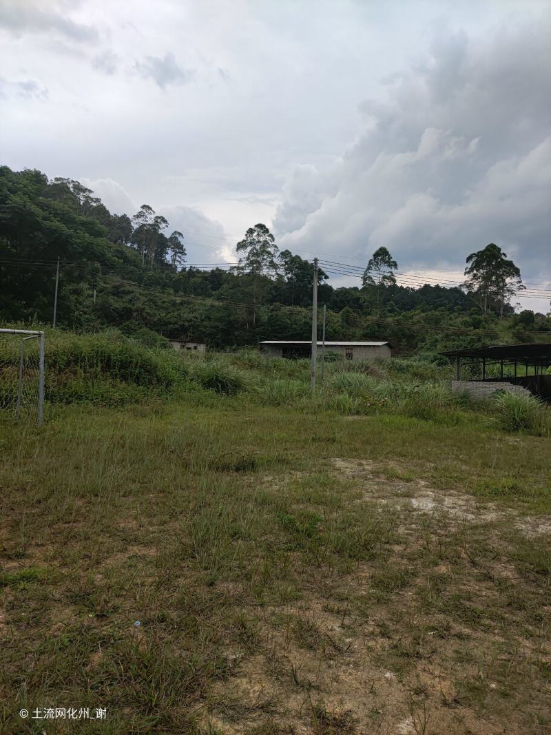 山顶农庄，养老圣地，转让，230亩平地，坡地，山地
