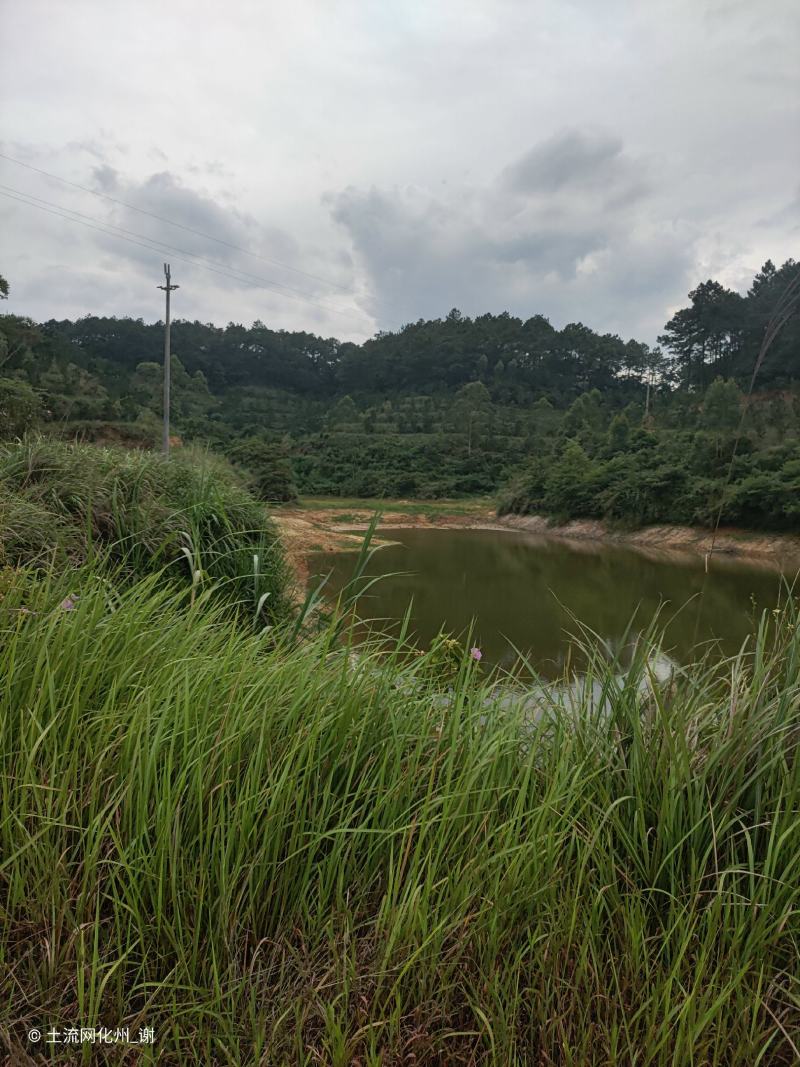 山顶农庄，养老圣地，转让，230亩平地，坡地，山地