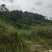 山顶农庄，养老圣地，转让，230亩平地，坡地，山地