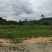 山顶农庄，养老圣地，转让，230亩平地，坡地，山地