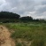 山顶农庄，养老圣地，转让，230亩平地，坡地，山地