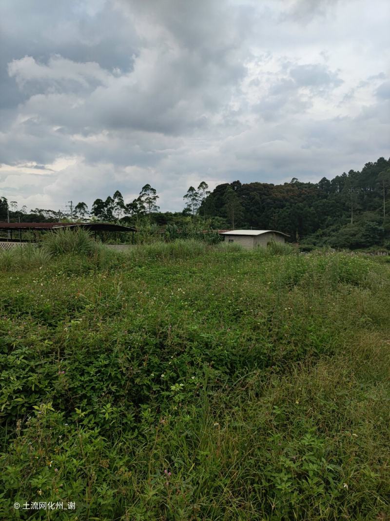 山顶农庄，养老圣地，转让，230亩平地，坡地，山地