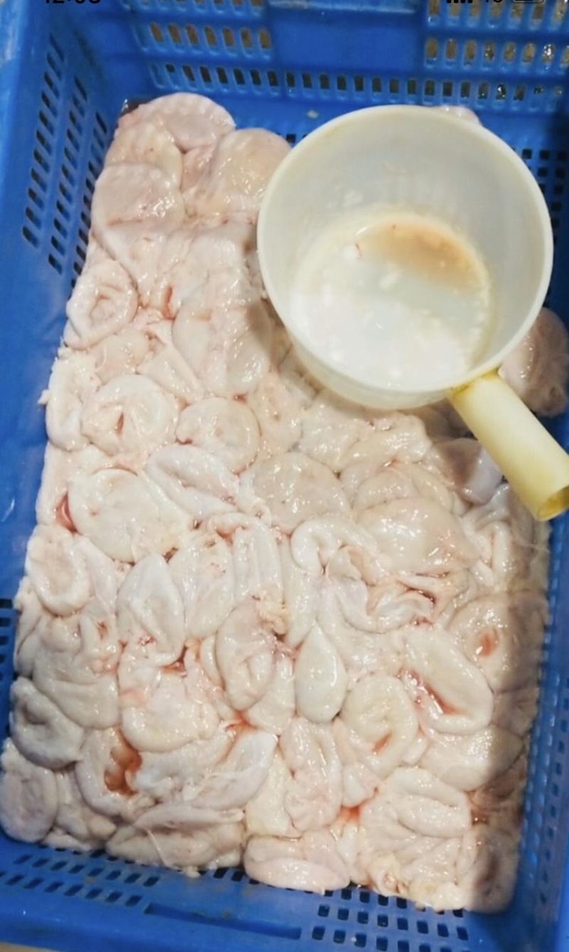 小肚保证新鲜尿泡猪小肚膀胱肚