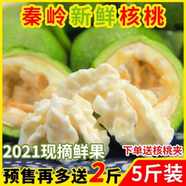 预售陕西秦岭新鲜核桃天然去青皮湿核桃薄皮嫩现摘现发5斤新