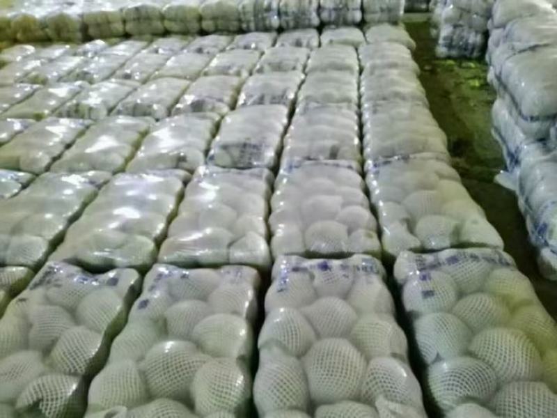 包包菜大量上市产地直销大量有货有需要的联系