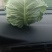 包包菜大量上市产地直销大量有货有需要的联系