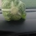 包包菜大量上市产地直销大量有货有需要的联系
