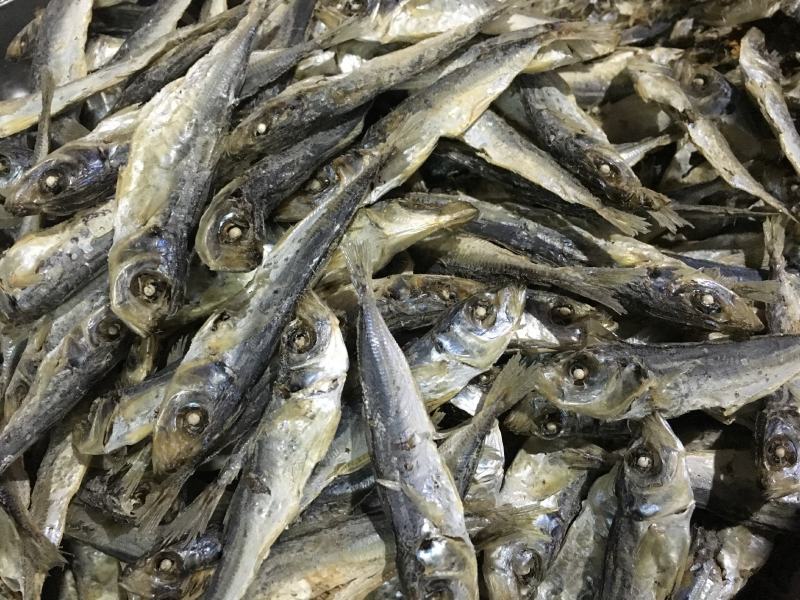 东山巴浪鱼干，日晒巴浪鱼干，天然无污染，一件代发