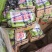 热销河南精品胡瓜大量上市产地直供质量高，价格美丽