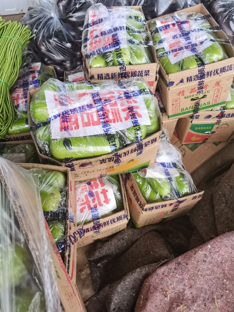热销河南精品胡瓜大量上市产地直供质量高，价格美丽