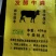 发酵牛粪，提高地温，邯郸市源沃肥业科技有限公司