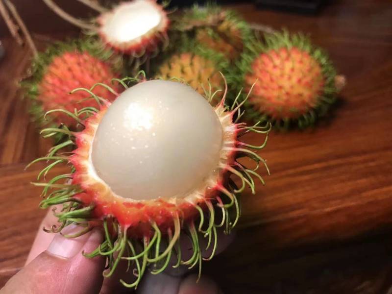 海南红毛丹顺丰空运包邮7号果保亭红毛丹电商微商一件代发
