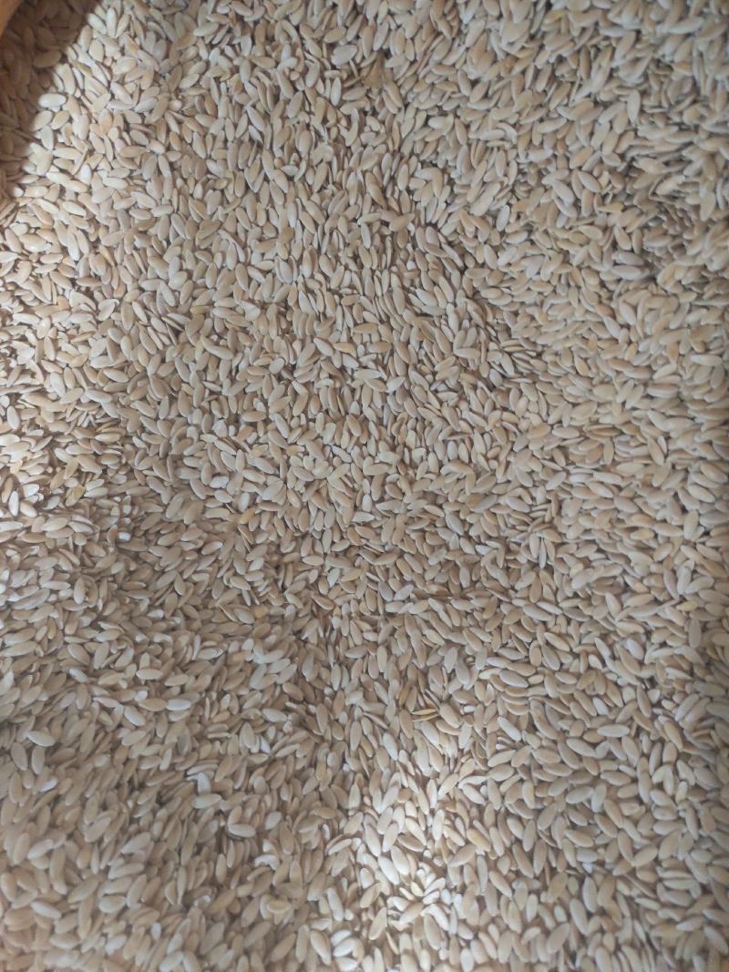 甜瓜子别名香瓜子常年经营各种中药材