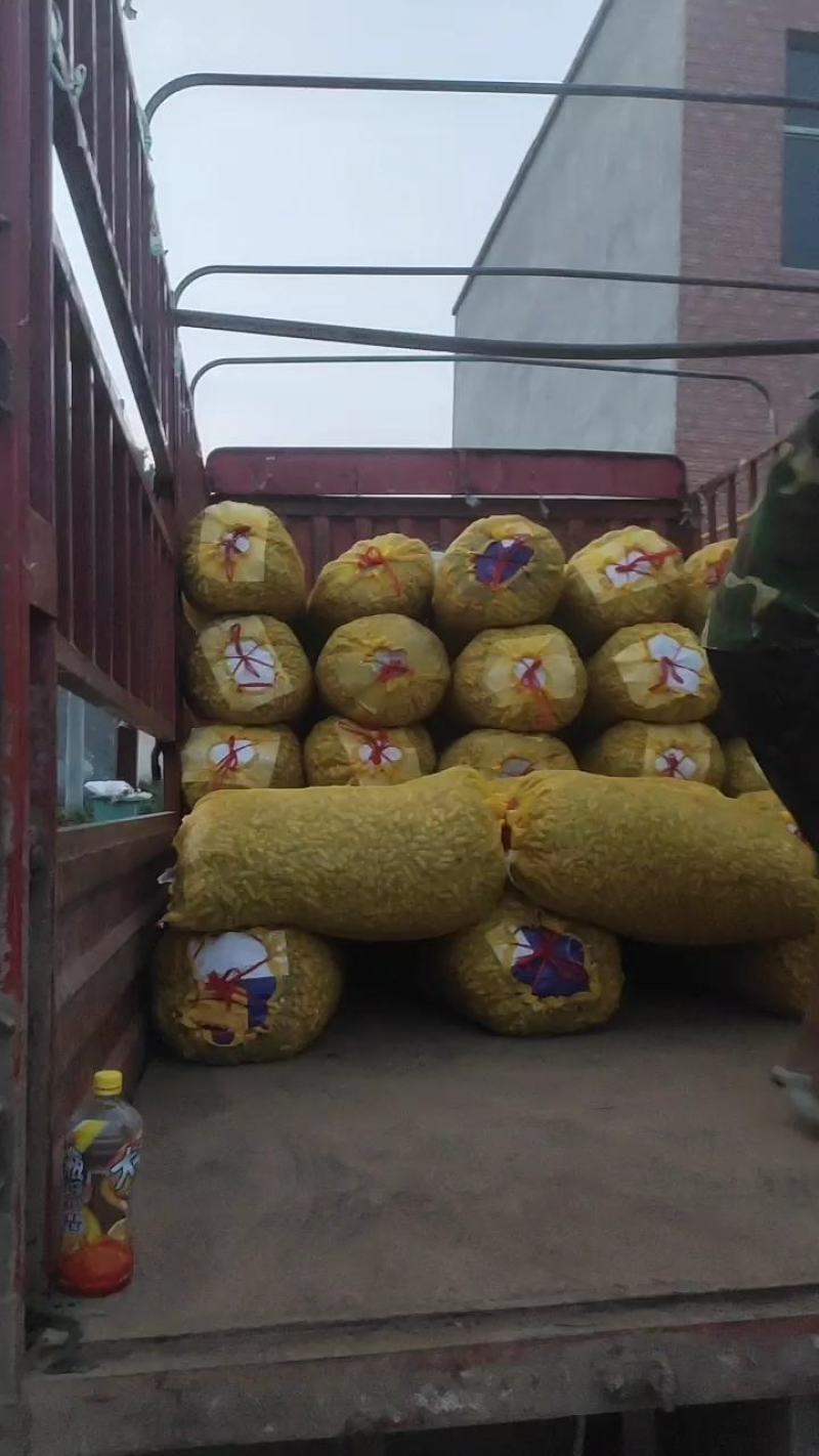 精品鲜花生，四粒红湿花生，籽粒饱满，直供，超市，市场电商