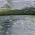 秦皇岛韭菜苔逐渐大量上市都是精品
