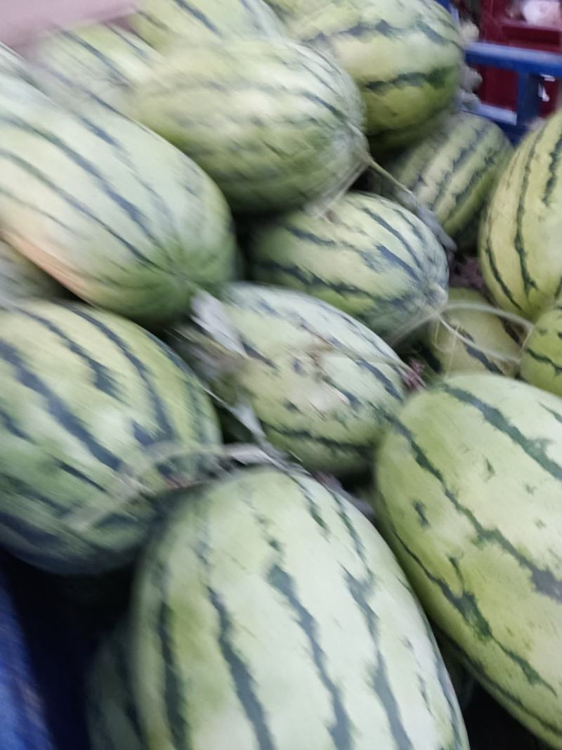 西龙系列九成熟左右高山货皮溥很甜现货大量上市中每天供5吨