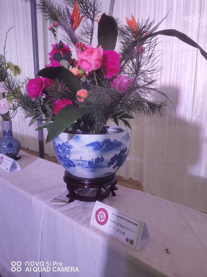 基地直销芍药苗芍药品种规格齐全保质保量供货