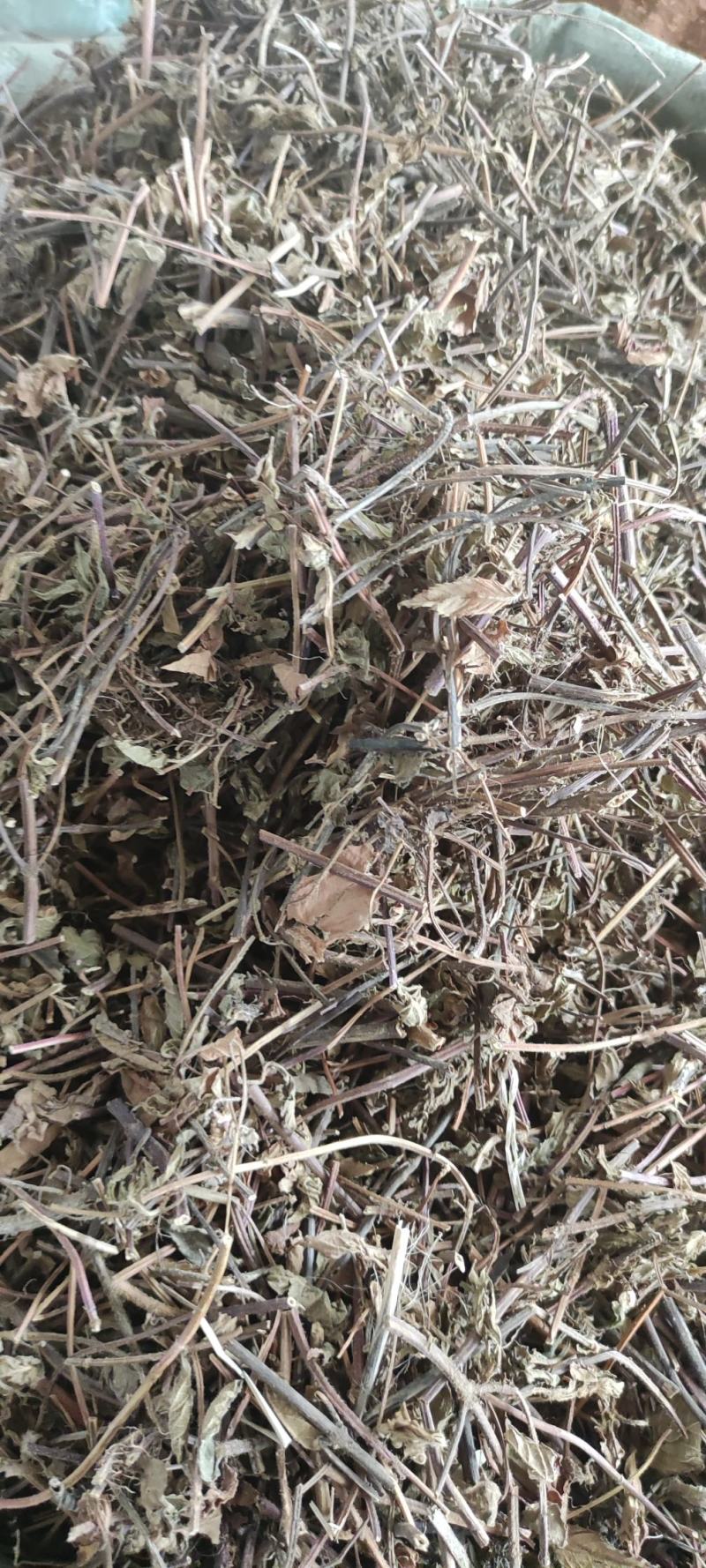 凉粉草～1公斤起售～质量保证~量大从优~