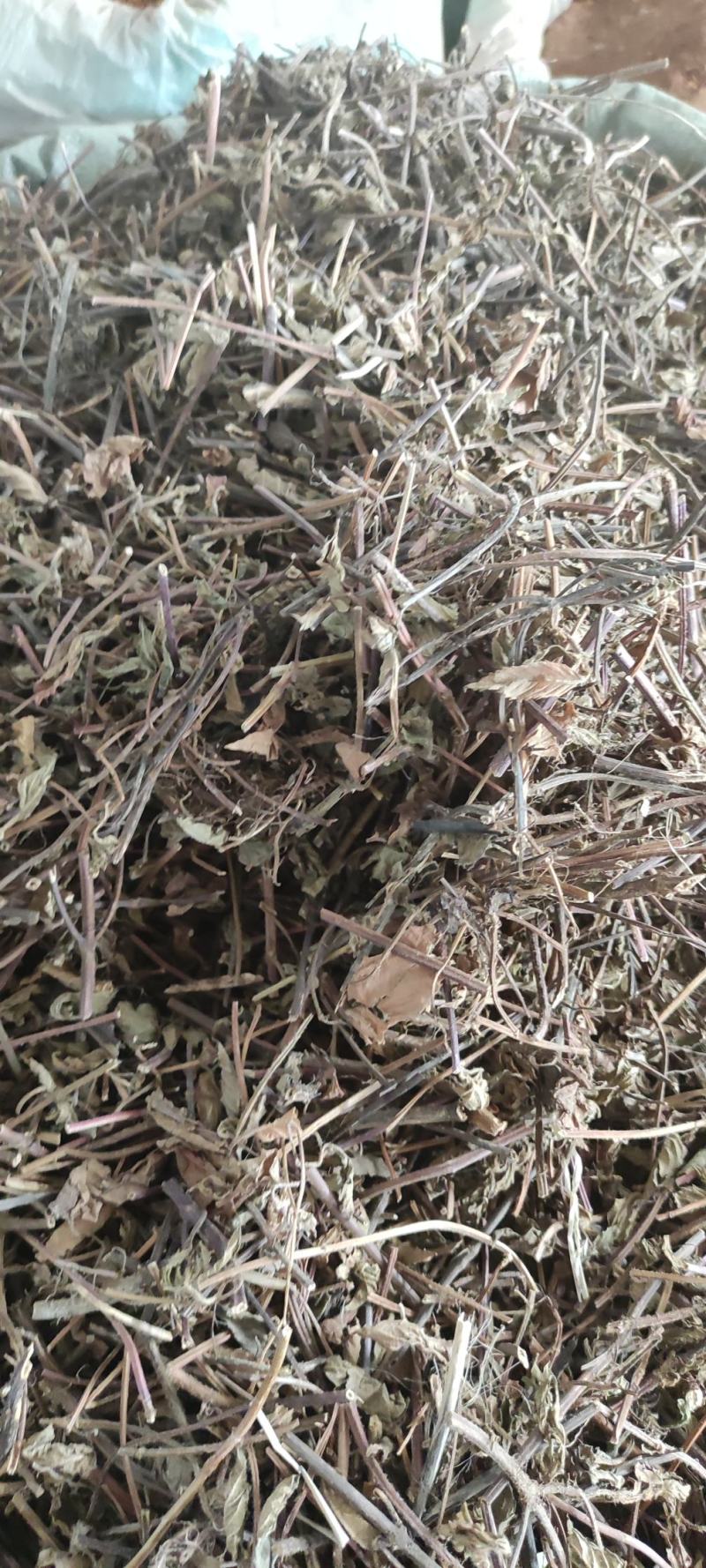凉粉草～1公斤起售～质量保证~量大从优~