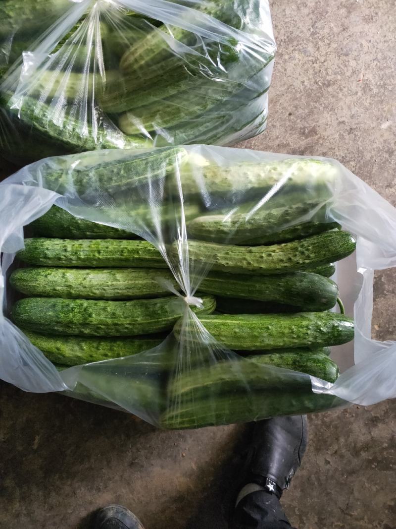大量有货