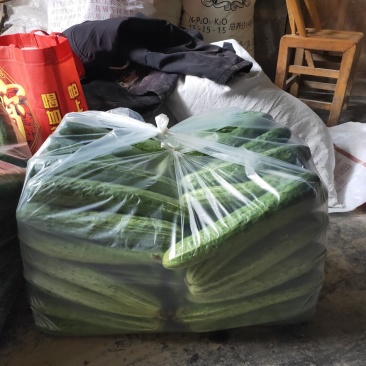 大量有货
