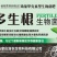 多生根生物菌肥长主根侧根毛细根