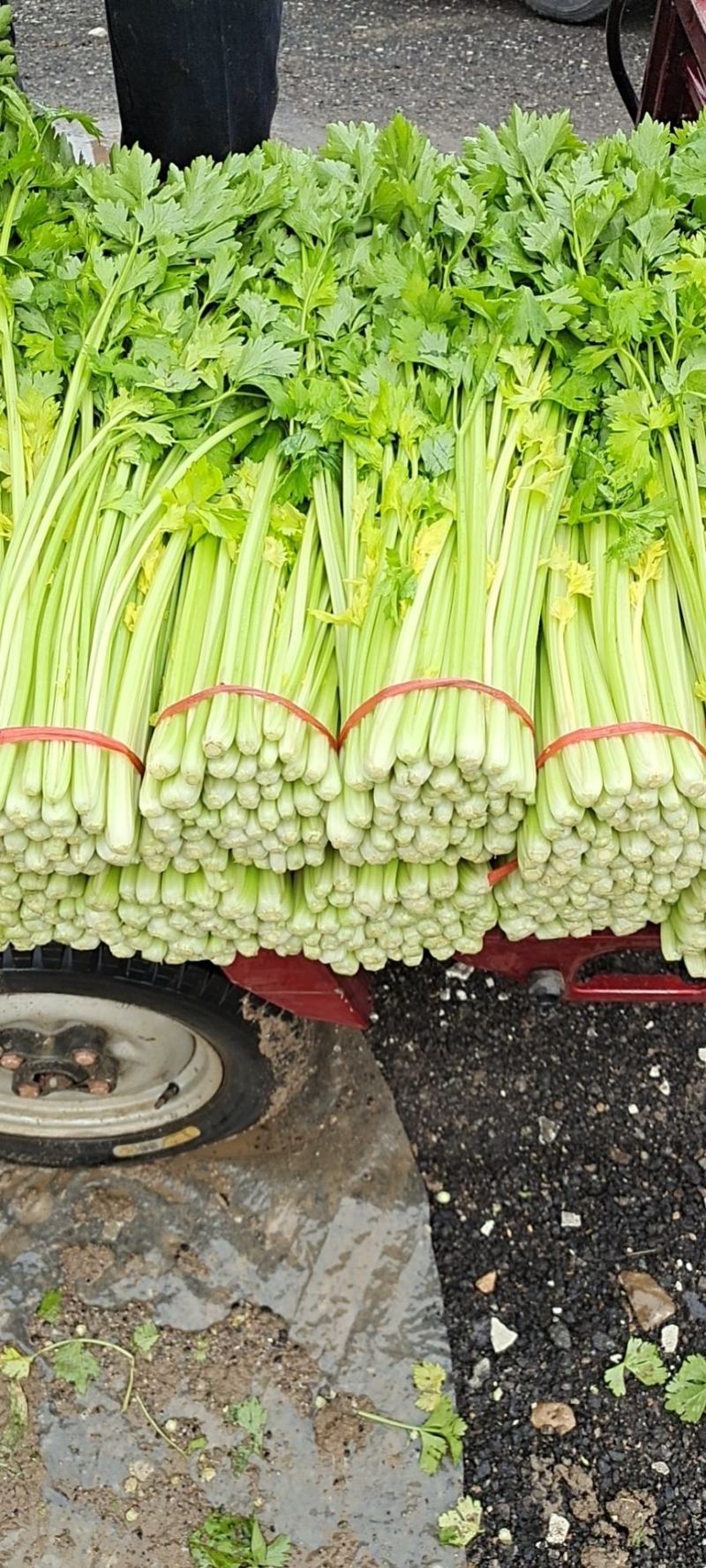 芹菜