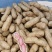 花生鲜花生大量供应优质货源诚信经营