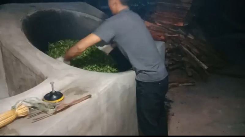易武刮风寨古树茶