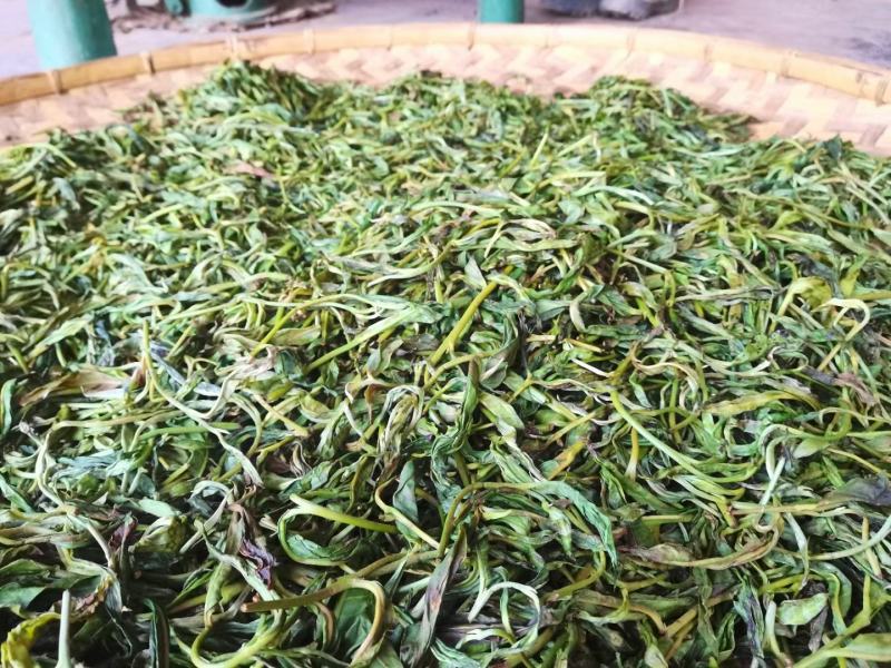 易武刮风寨古树茶
