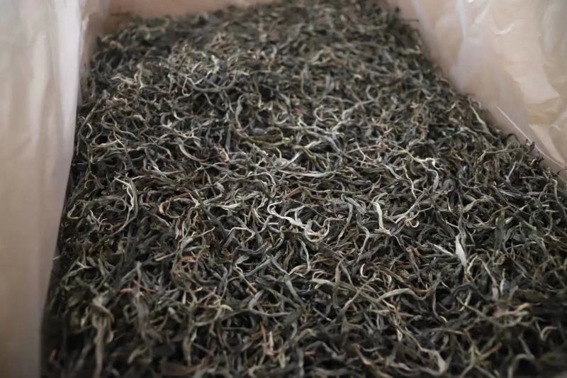 易武刮风寨古树茶
