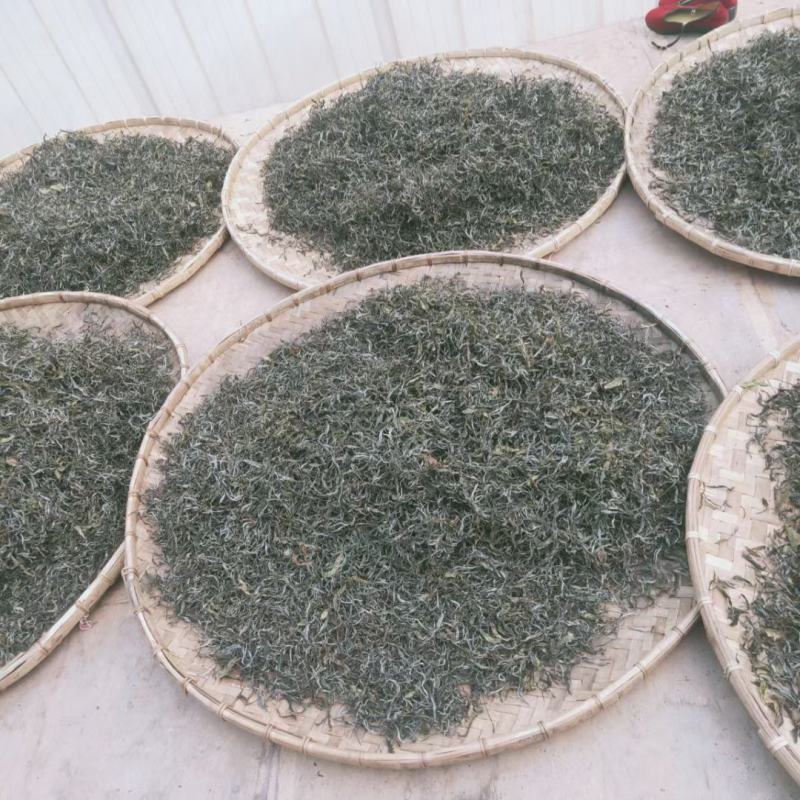 易武刮风寨古树茶