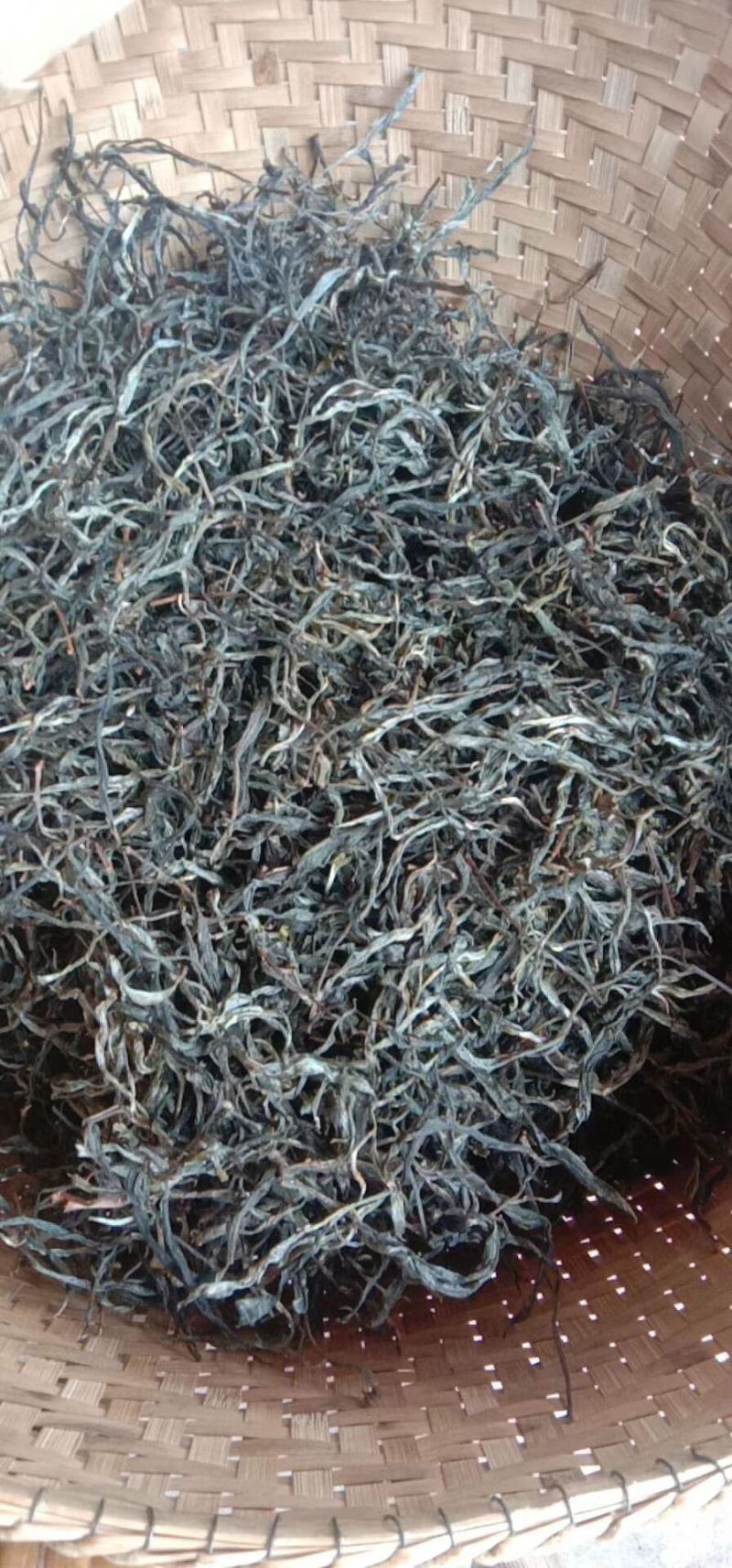 易武刮风寨古树茶