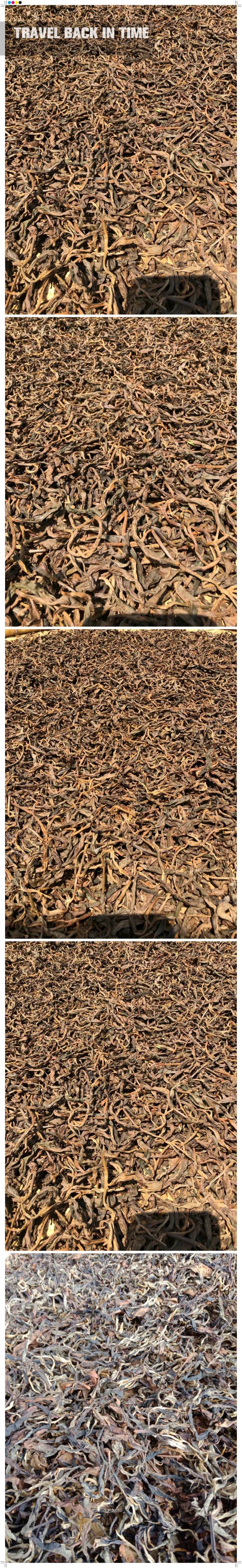 易武刮风寨古树茶
