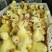 霍尔多巴吉杂交鹅雏大种鹅苗包8斤半左右进口品种