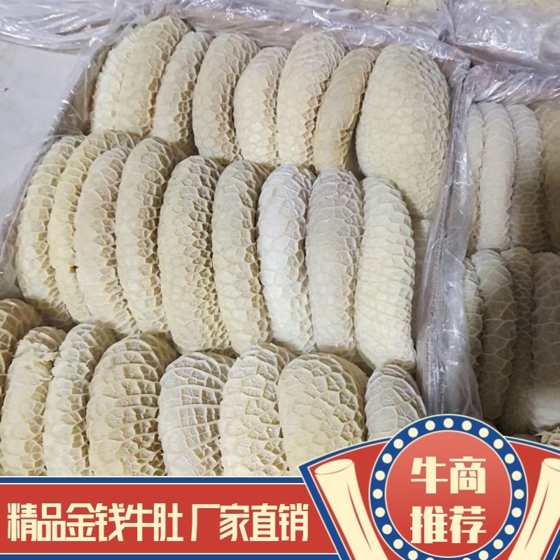 【牛商推荐】国产牛肚（金钱肚）厂家直发质量好价格优