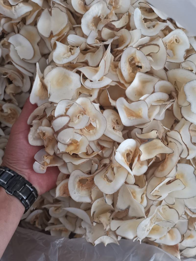 《推荐》无硫+海底椰片泰国海底椰奶香浓郁《特优级》包退换