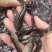 七星鱼苗，品质保障专业水产养殖欢迎全国客户前来订购
